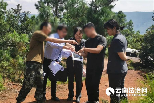 昆明云南楚雄市法院设立“1+4”生态司法保护基地 构筑护航绿水青山法治屏障