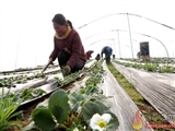 昆明强化抓党建的主角意识